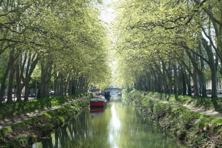 A Toulouse, Jacqueline Osty choisie pour accompagner le Grand Parc Canal